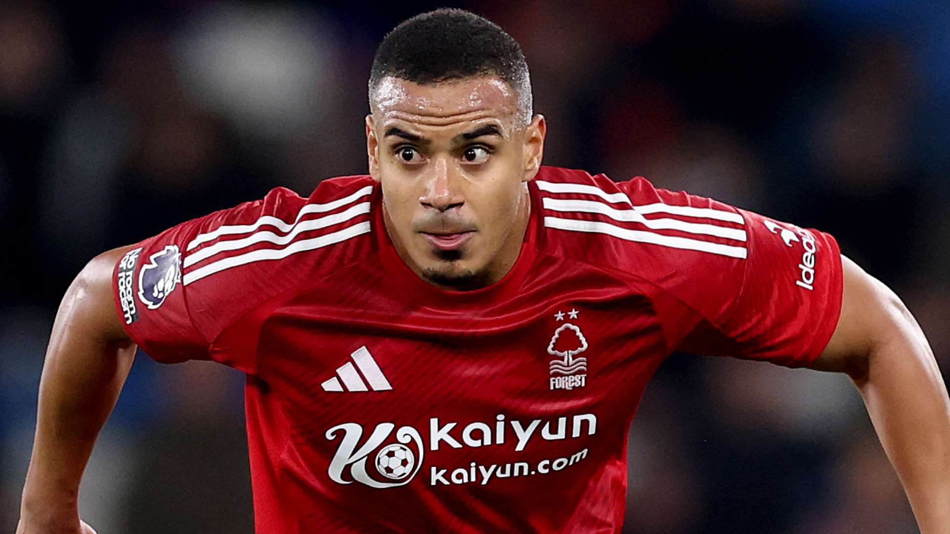 因此比賽的 因此比賽的